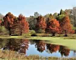 Image of Muscatatuck National Wildlife Refuge