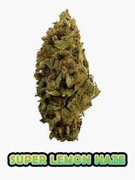 Super Lemon Haze - 21.05% CBD