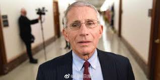 Bd anh diá»‡p phi dáº¡