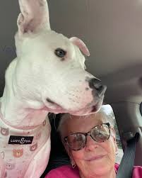 🎉 𝐇𝐚𝐩𝐩𝐲 𝐓𝐚𝐢𝐥𝐬, 𝐒𝐚𝐩𝐩𝐡𝐢𝐫𝐞! 🎉 Sapphire has found her  forever family—and what a beautiful home it is! With 5 acres and a pond to  explore, there's no shortage of adventure ahead. It