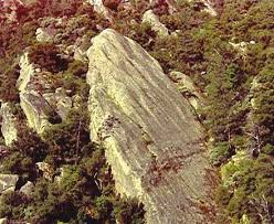 2018 chardonnay, ramey , napa valley 72. Dcq Fall Equinox 1999 The Caves Ranch