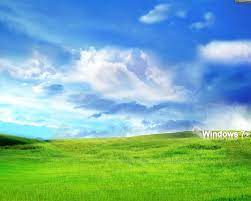 Sky And Grass Wallpaper Windows 7 System Professional Grass Wallpaper Pretty Baby 1978 Pretty Baby