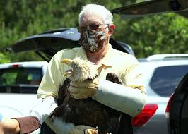 PHOTOS: Wildlife Center of Virginia releases bald eagle back into the wild 