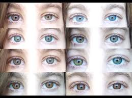 Color Contacts All 12 Freshlooks Color Contact Lenses