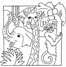 40+ jungle animals coloring pages preschool for printing and coloring. Jungle Animals Coloring Pages Novocom Top
