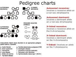 Pedigrees Lesson