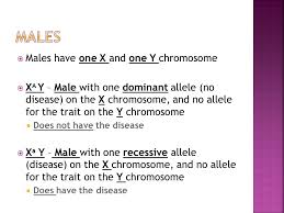 Their expression in females and males is not the same. Genes Are Found On The X And Y Chromosomes Genes That Are Carried On The Sex Chromosomes Are Called Sex Linked Genes Ppt Download