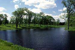 Below is an example for how to stock ponds of various sizes. Understanding How To Maintain A Perfect Pond Successful Farming