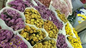 Temukan lebih dari 300 pilihan rangkaian bunga di toko bunga rawa belong ini. Omzet Turun Pedagang Sebut Pamor Bunga Sebagai Hadiah Turun Bisnis Liputan6 Com