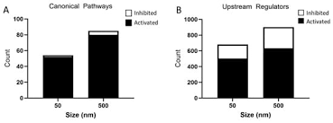 Polystyrene Nano- and Microplastic Particles Induce an Inflammatory Gene  Expression Profile in Rat Neural Stem Cell-Derived Astrocytes In Vitro