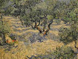 Vincent Van Gogh Olive Garden Nelson Atkins Museum Of Art