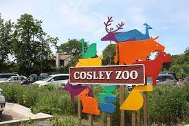 Bobcats Backstage At Cosley Zoo In Wheaton Il Zoo Zoo Project Chicago Activities