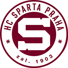 Do roku 1984 hrál ve spartě praha (s výjimkou sezóny 1979/1980 strávené v dukle trenčín), následně působil v zahraničních ligách: Francovka Alpa A Hokej Patri K Sobe Alpa