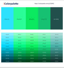 This color invigorates and enlivens. 5 Latest Color Schemes With Aqua And Spring Green Color Tone Combinations 2021 Icolorpalette