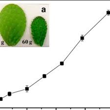 But that doesn't really do this amazing vegetable justice. Pdf Physicochemical Characterization Of Nopal Pads Opuntia Ficus Indica And Dry Vacuum Nopal Powders As A Function Of The Maturation
