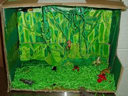 Biome In A Box Tropical Rainforest 6th Grade Biome Project Samples Biomes Project Biomes Rainforest Biome
