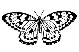 Black And White Butterfly Meaning Butterfly Clipart Black And White Google Search Mandalas Mariposas