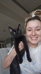 What breed is my domestic medium hair cat?