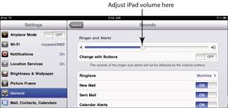 It also works as an audio converter by letting you save files in any desirable format. How To Adjust The Audio On Ipad Dummies
