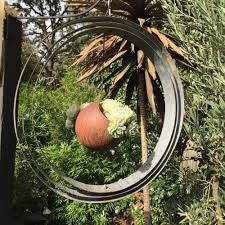 We did not find results for: Up Cycling Wine Barrel Rings Into Garden Art Steven Wells The Gardener