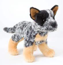 Pin On Australian Cattle Dogs 3