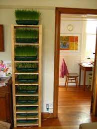 Display of your favorite small potted plants or other miscellaneous decorations on this stylish bamboo rack. 29 Micro Green Shelves Ideas Green Shelves Microgreens Herbs Indoors