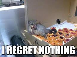 I Regret Nothing 10 Possum Quickmeme