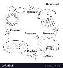 Vector Schematic Representation Of The Water Cycle In Nature Illustration Of Diagram Water Cycle Cycle Water Cycle Water Cycle Diagram Water Cycle Worksheet