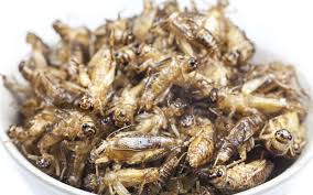Du Pain A La Farine D Insectes Arrive En Finlande