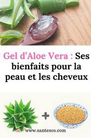 Gel D Aloe Vera Ses Bienfaits Pour La Peau Et Les Cheveux Cheveux Aloevera Peau Simple Skincare Natural Beauty Diy Moisturizing Body Wash