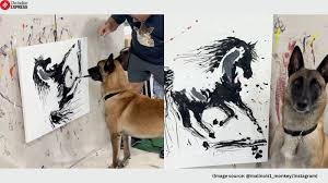 Giulia.rosa onlyfans free If you have Telegram, you can