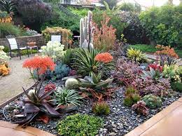 Most cacti and succulents can be easily propagated from stem or leaf cuttings, as explained below. Aileen Ubungen Augener Profile Pinterest