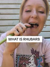 Understanding Rhubarb: A Perennial Plant Guide