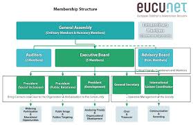 the structure the european childrens universities network