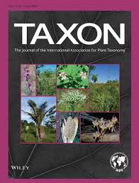 Image result for Microcoelia nyungwensis