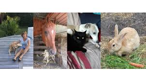 Besoin en leur trouvant une famille pour la vie. L Enjeu Gardien Garde D Animaux Sud Medoc