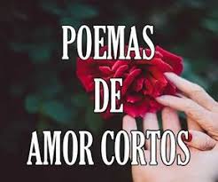 Poemas De Amor Cortos Romanticos Versos Para Enamorar Versos Para Enamorar Poemas De Amor Poemas Para Enamorar