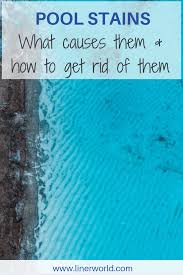 Algae require a high ph level in order to thrive, so you. The Lowdown On Swimming Pool Stains How To Remove Them Linerworld