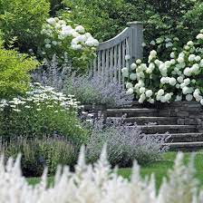 Garden Inspiration New Zealand Gardenlifenz Posted On Instagram Dec 10 2020 At 9 12am Utc In 2020 Garden Stairs Landscape Design Farmhouse Garden