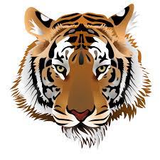Sign In Tiger Images Tiger Face Tiger Art