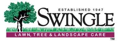Armadillos also destroyed my yard due to grub worms (caught on video). Lawnamerica Merges With Swingle Lawn Tree Landscape