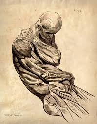 11x14 Vintage Anatomy Muscle Sketch Human Body Science 009 Anatomy Art Anatomy Drawing Human Sketch