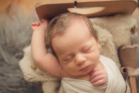 Pamela Fallon Photography Grand Rapids Photographer