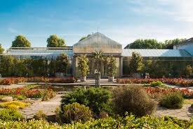 Botanischer Garten Titanwurz Bluht Bonn Entdeckenbonn Entdecken