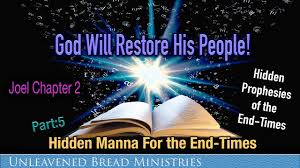 1 read all three chapters (73 verses) of the book of joel before you go any further in this article. God Restore Your People As You Promised In Joel Chapter 2 Youtube