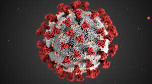 We have (44) coronavirus png transparent background images, hubpng provides you with hd coronavirus png images, icons and vectors. Corona Vs Coronavirus Amd And Penguin Computing To Upgrade Aptly Named Llnl Supercomputer Dcd