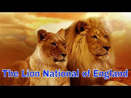 National Animal Bird Tree Flower Of England National Animal Animals Bird Tree