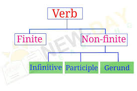 In english grammar, an infinitive is the base form of a verb that can function as a noun, adjective, or adverb. Non Finite Verbs Infinitive Types Uses And Examples