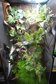 Additional examples of proper chameleon cages. Pin On Chameleon Habitat Cage Examples