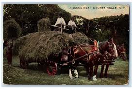1907 Mountaindale Horse Carriage ...